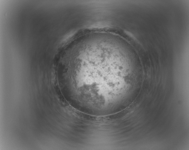 X0000061741350200512161639