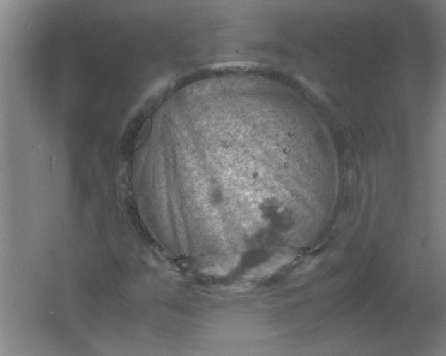 X0000061741351200512161639