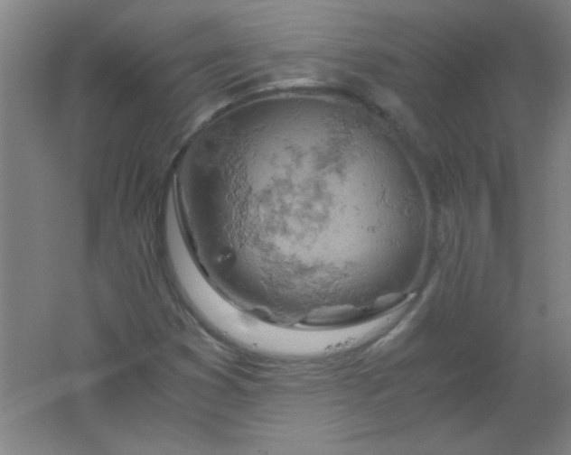 X0000061741353200512161638