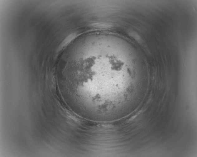 X0000061741354200512161638