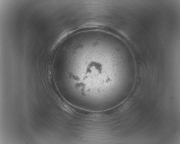 X0000061741355200512161638