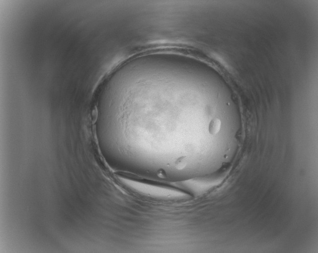 X0000061741357200512161638