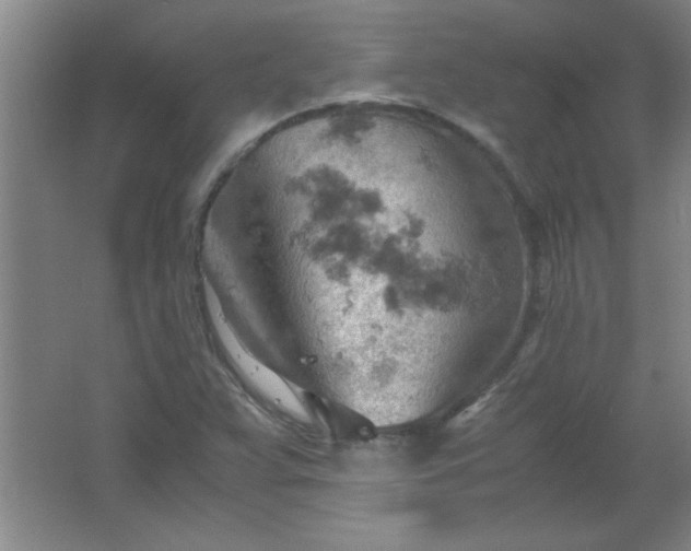 X0000061741359200512161638