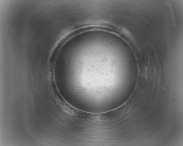 X0000061741360200512161638