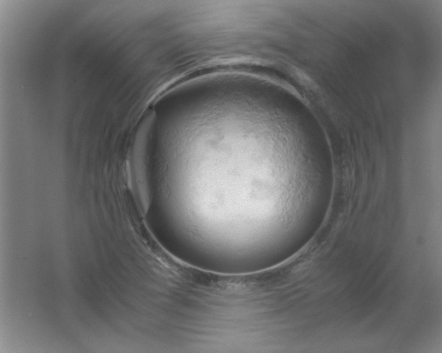 X0000061741361200512161638