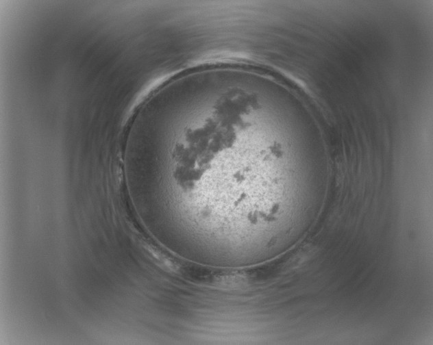 X0000061741363200512161638