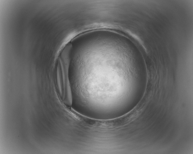 X0000061741365200512161638