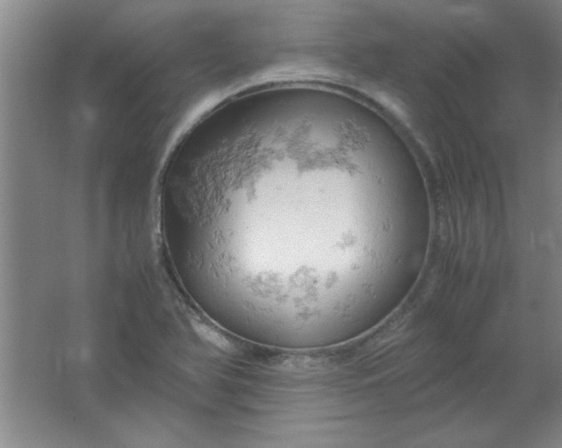 X0000061741366200512161638