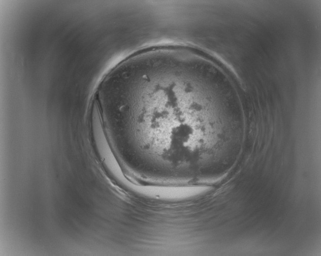 X0000061741367200512161638