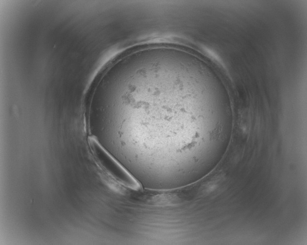 X0000061741368200512161638