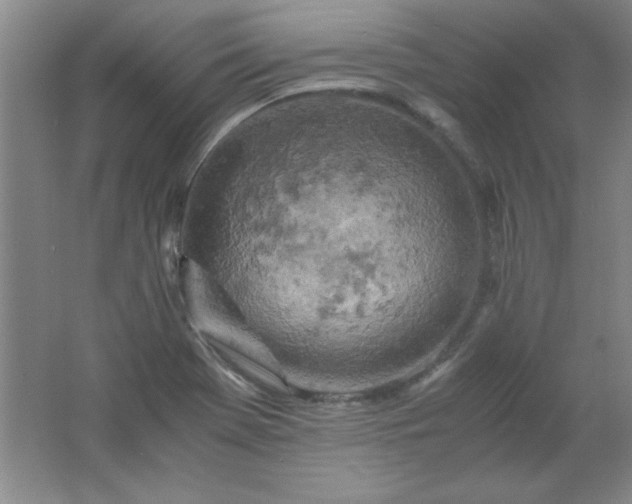 X0000061741369200512161638