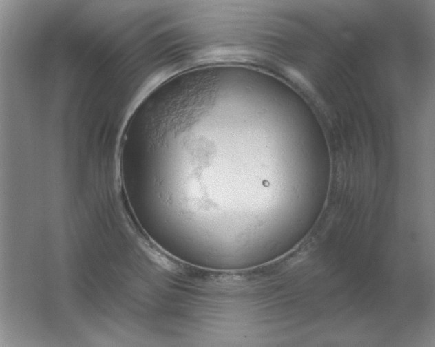 X0000061741370200512161638