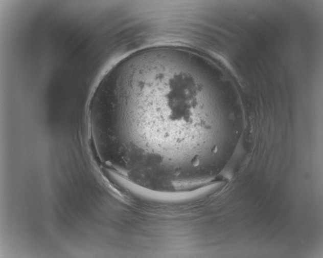 X0000061741371200512161638