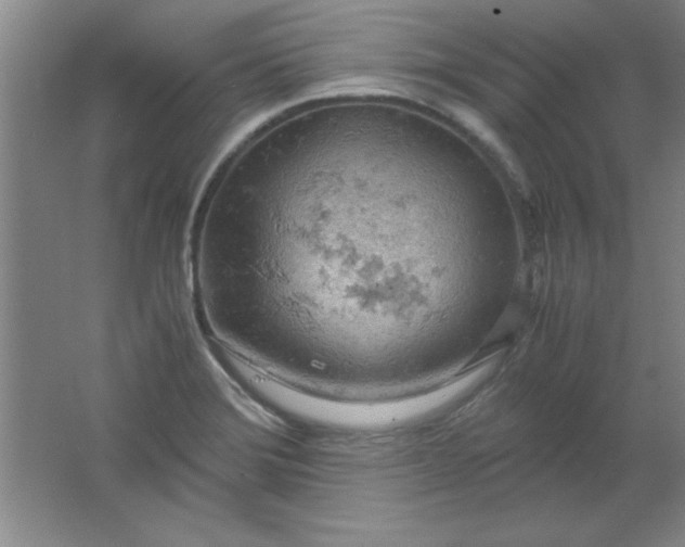 X0000061741372200512161638