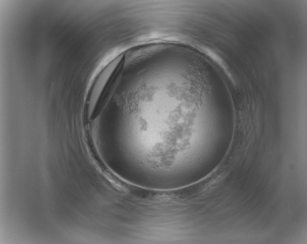 X0000061741373200512161638