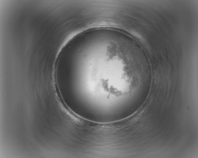 X0000061741374200512161638