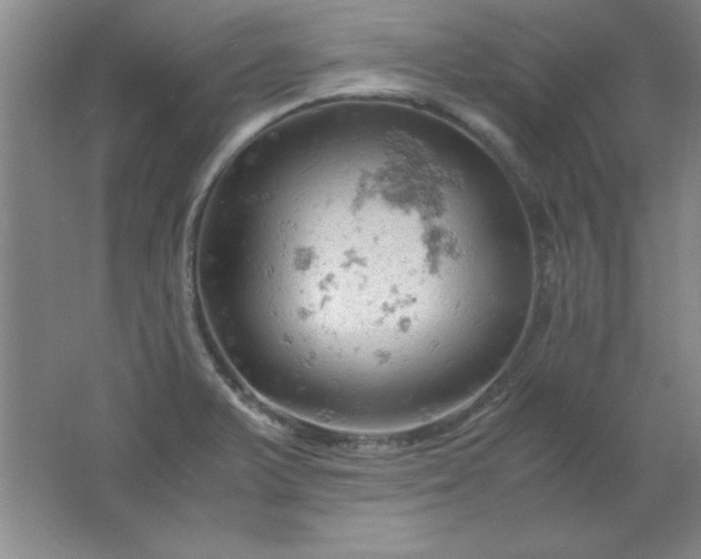 X0000061741375200512161638