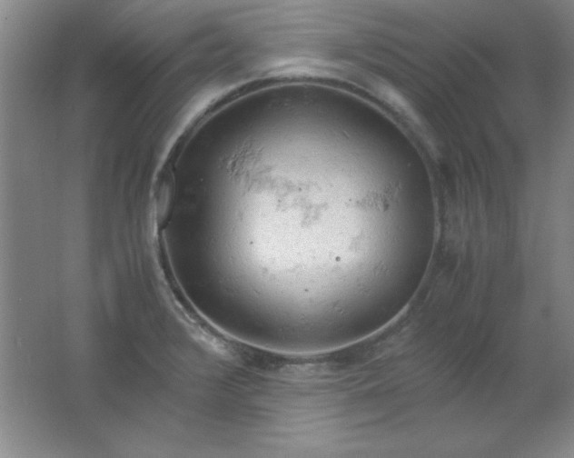 X0000061741376200512161638