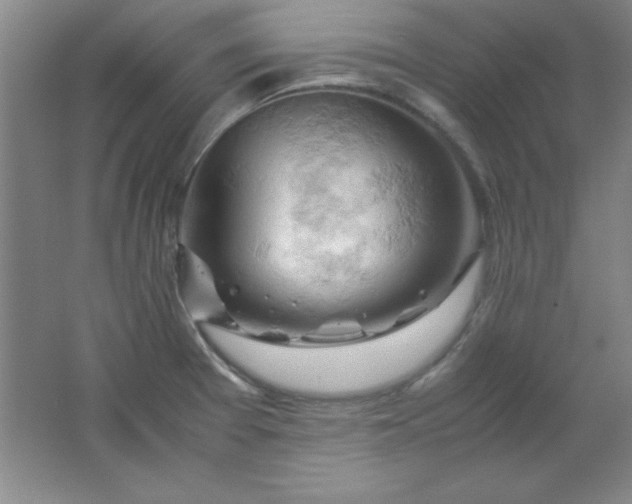 X0000061741377200512161638