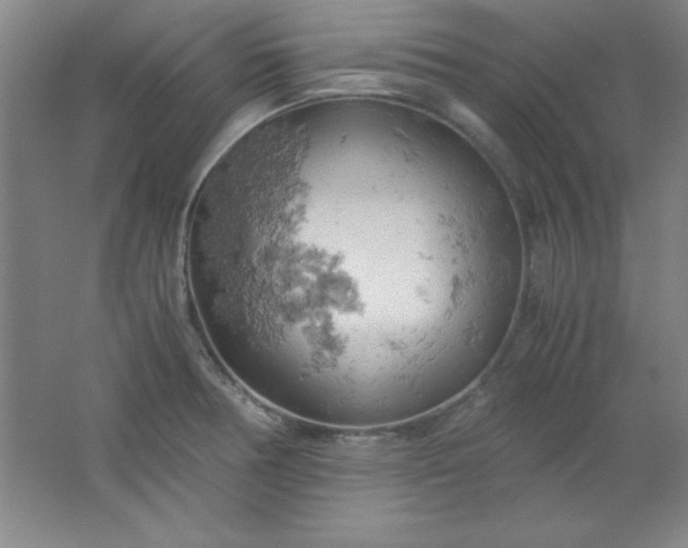 X0000061741378200512161638