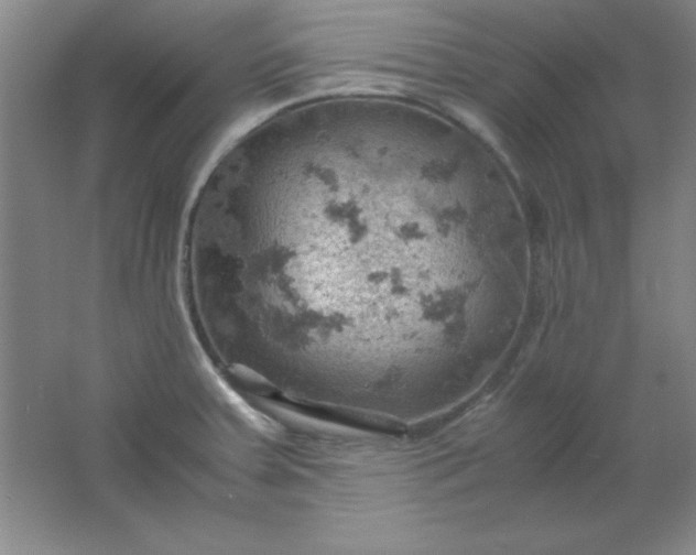 X0000061741379200512161638