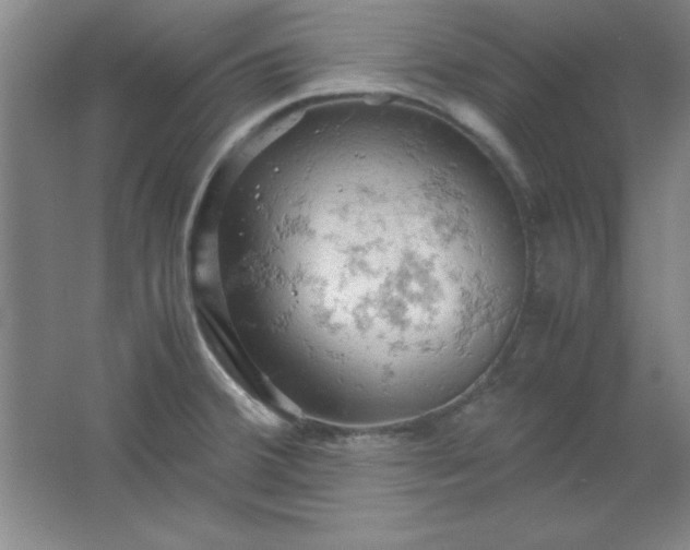 X0000061741380200512161638