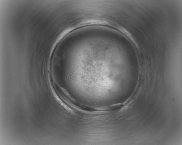 X0000061741381200512161638