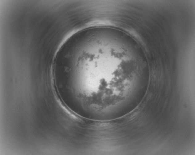 X0000061741382200512161638