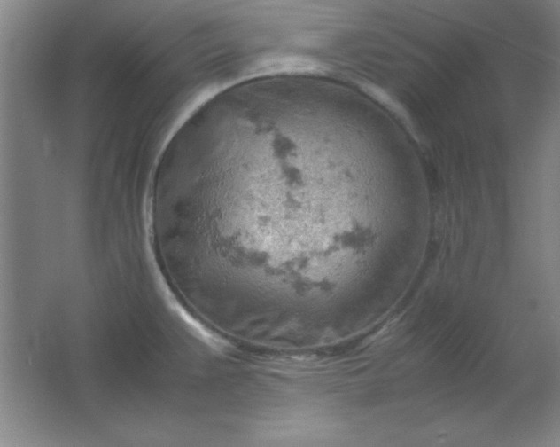 X0000061741383200512161638