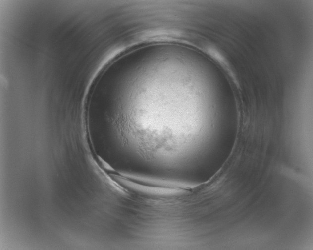 X0000061741384200512161638