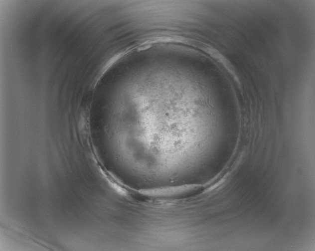 X0000061741385200512161638