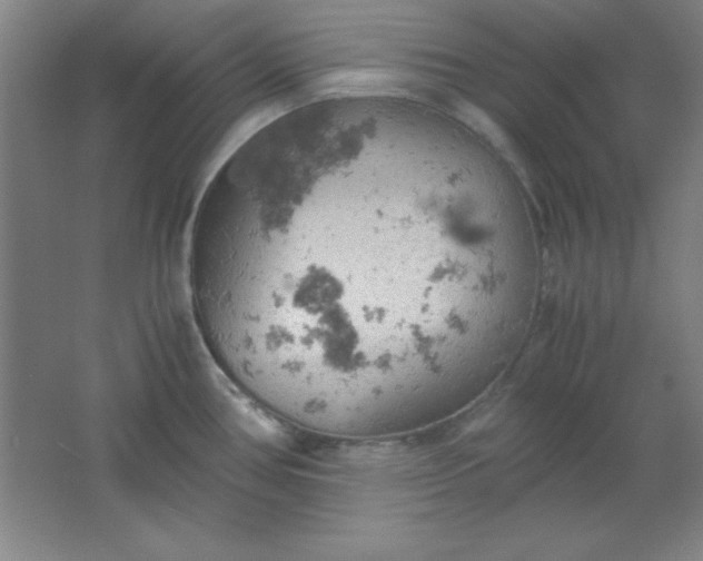 X0000061741386200512161638