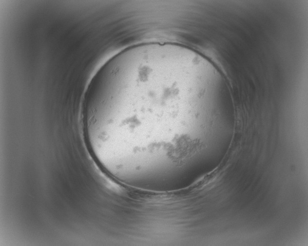 X0000061741387200512161638