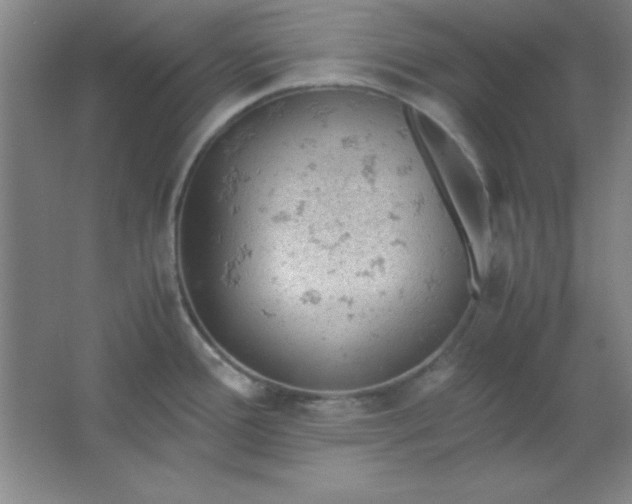 X0000061741388200512161638