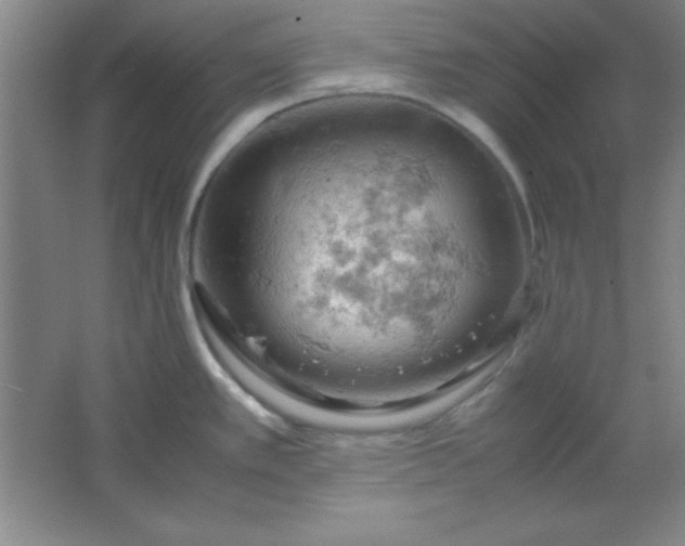 X0000061741389200512161638