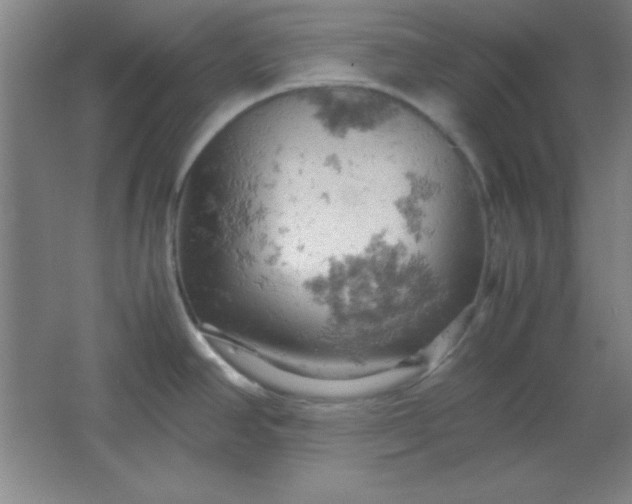 X0000061741390200512161638