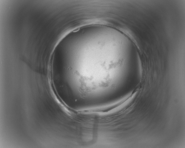 X0000061741391200512161638