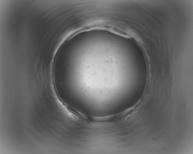 X0000061741392200512161638