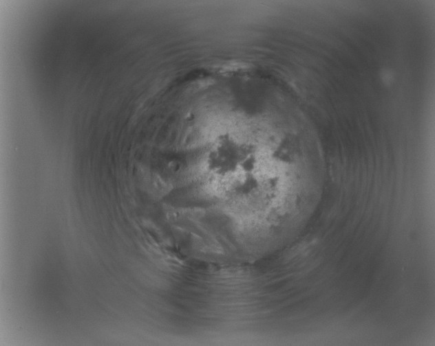 X0000061741393200512161637