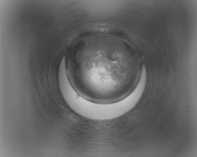 X0000061741394200512161637