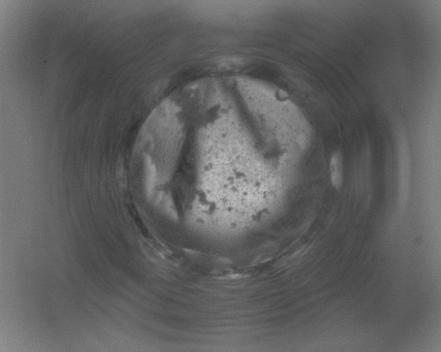 X0000061741395200512161637