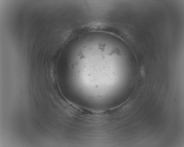 X0000061741396200512161637