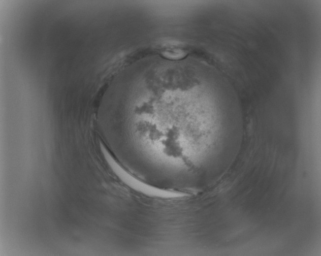 X0000061741397200512161637