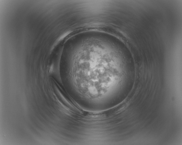 X0000061741402200512161637