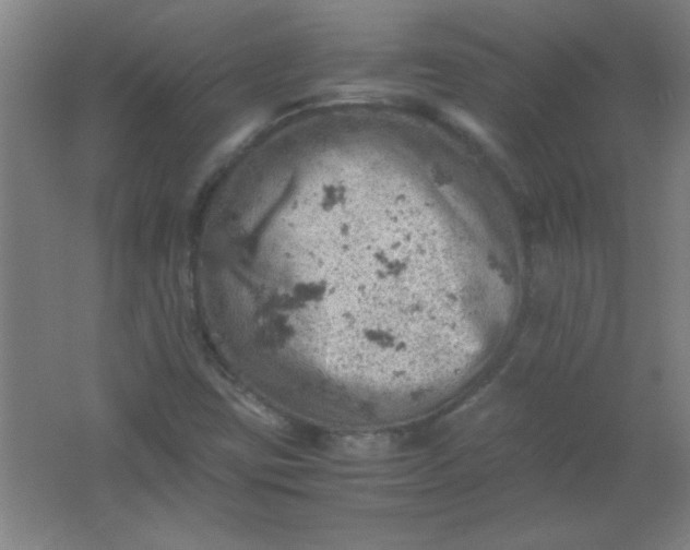 X0000061741403200512161637