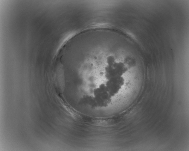 X0000061741405200512161637