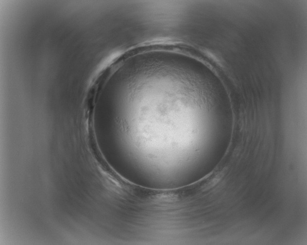 X0000061741406200512161637