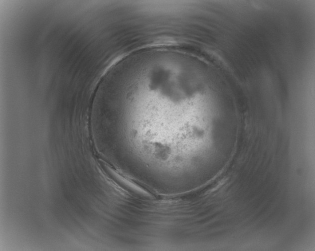 X0000061741409200512161637