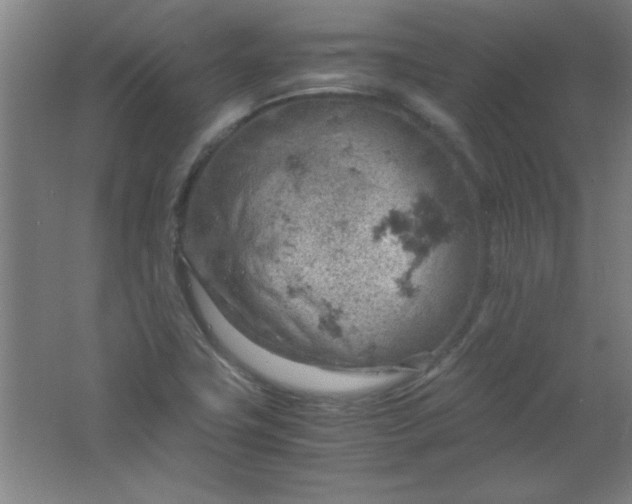 X0000061741411200512161637