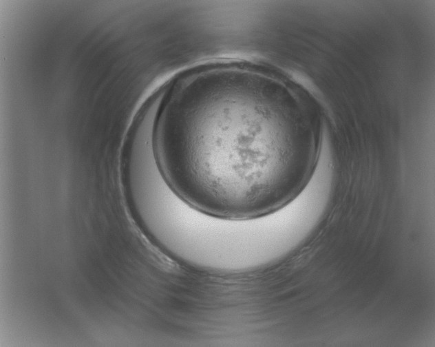 X0000061741412200512161637